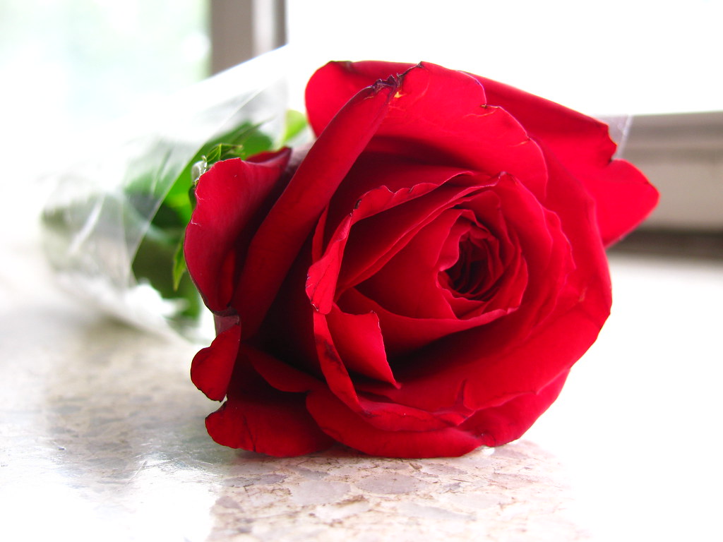 Valentine’s Day Gift Ideas That Aren’t Just Chocolate
