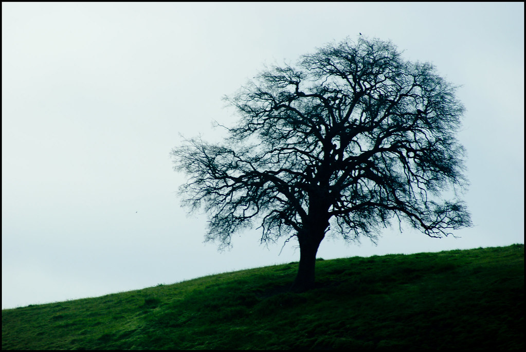 How to Survive Feeling Like You’re Stuck