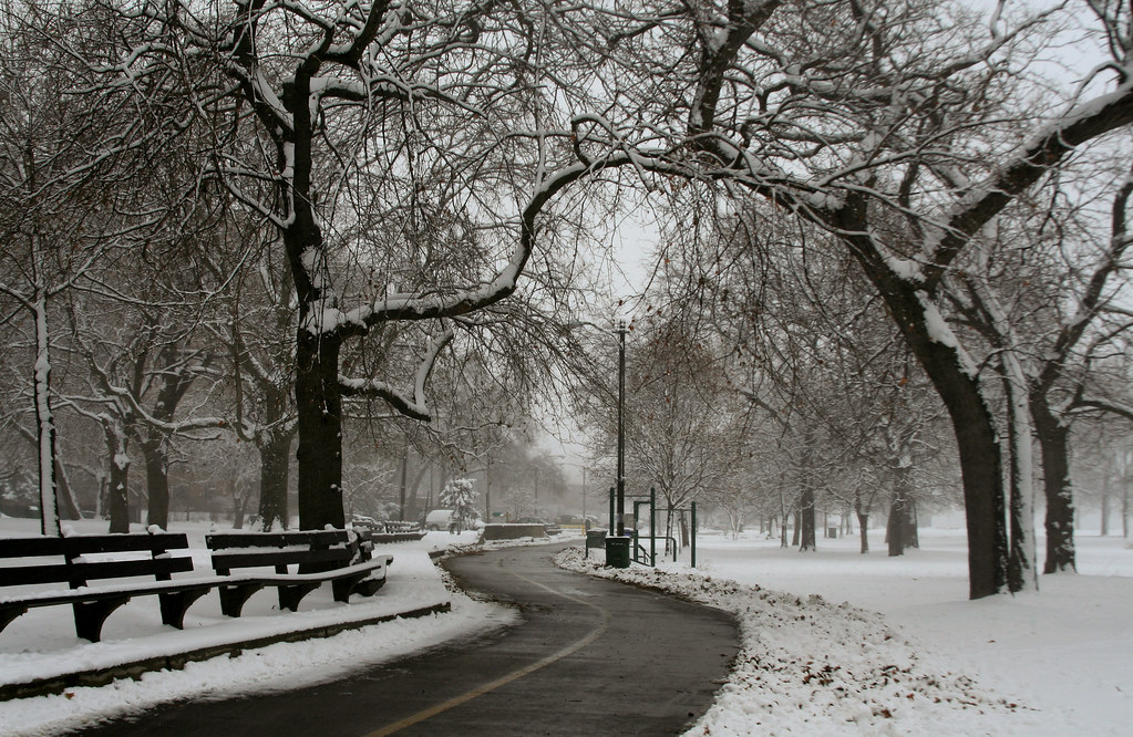 14 Tips to Help Your Family Survive a Chicago Winter