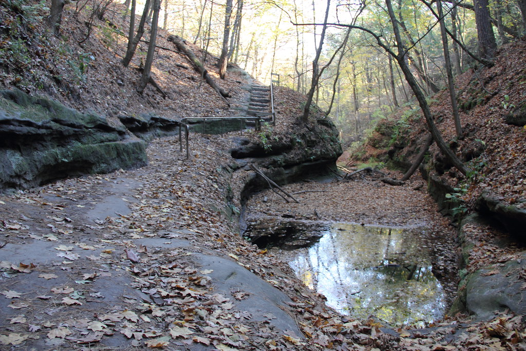 Fallen leaves along a canyon trail and creek at Starved Rock State Park